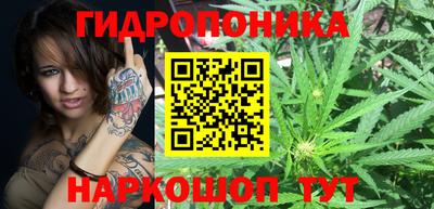 MDMA Гатчина