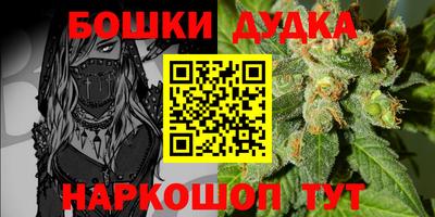 ALPHA PVP Гай