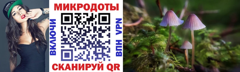 Псилоцибиновые грибы Psilocybe  как найти закладки  Борисоглебск 